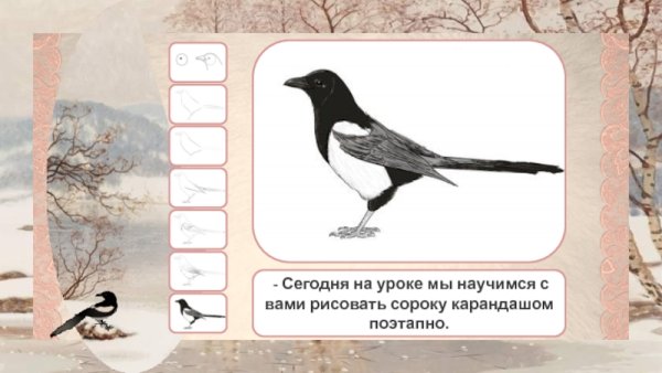 Поэтапное рисование птиц