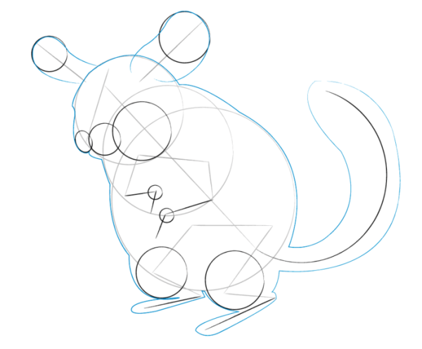 Поэтапное рисование шиншиллы