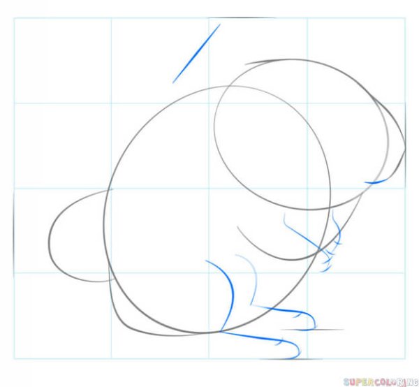 Рисунок шиншиллы для срисовки для начинающих