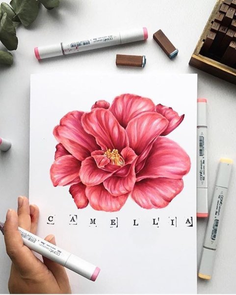 Скетчи маркерами