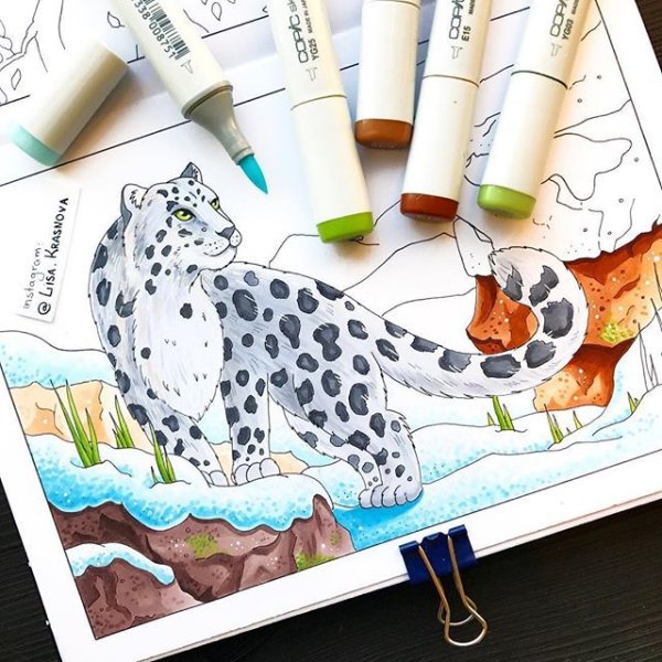 Рисунки маркерами