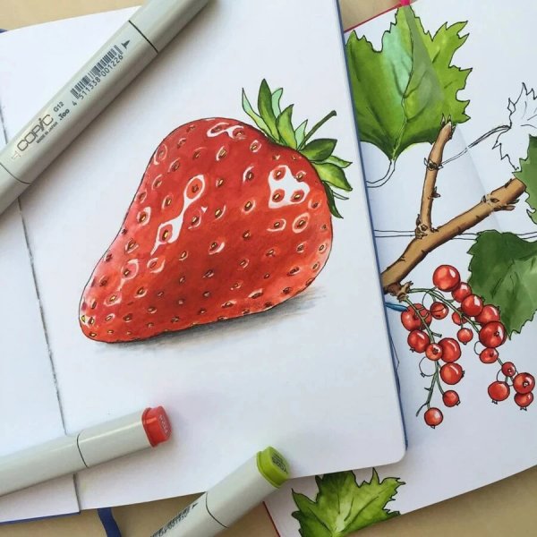 Рисование ягод маркерами