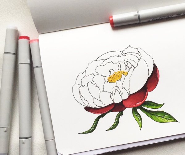 Рисунки фломастерами