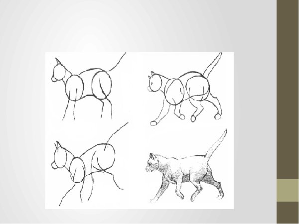 Анималистический Жанр поэтапное рисование