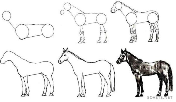 Схема рисования лошади для детей