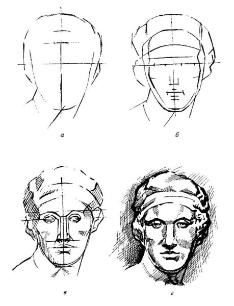 Этапы рисования головы человека