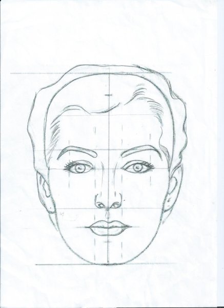 Пропорции портрета для рисования