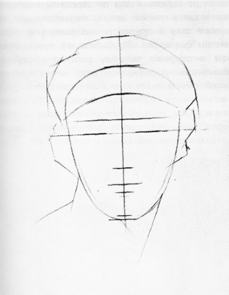 Этапы рисунка гипсовой головы