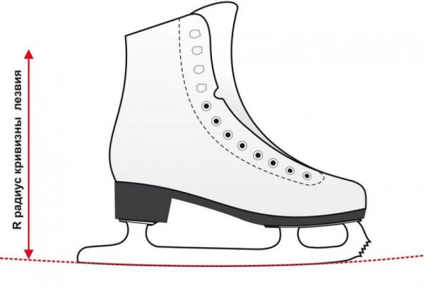 Радиус лезвия фигурных коньков