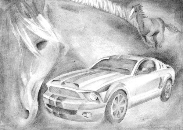 Картинки для срисовки Мустанг