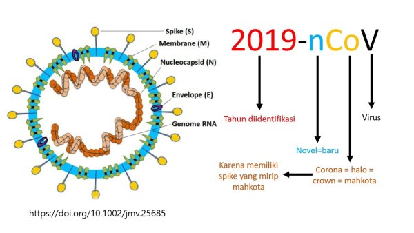 Коронавирус 2019-NCOV