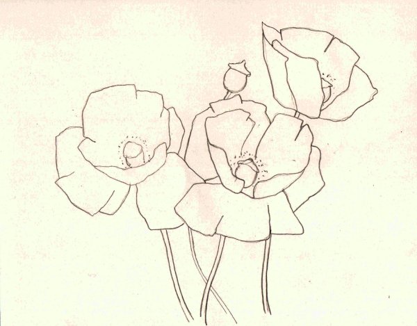 Нарисовать Мак карандашом