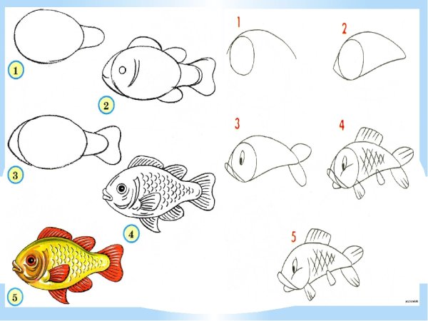 Красивые рыбки урок изо в 1 классе