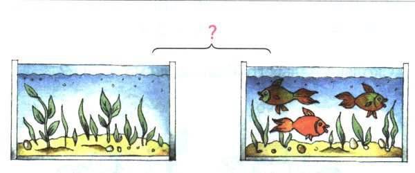 Рисование аквариума в 1 классе