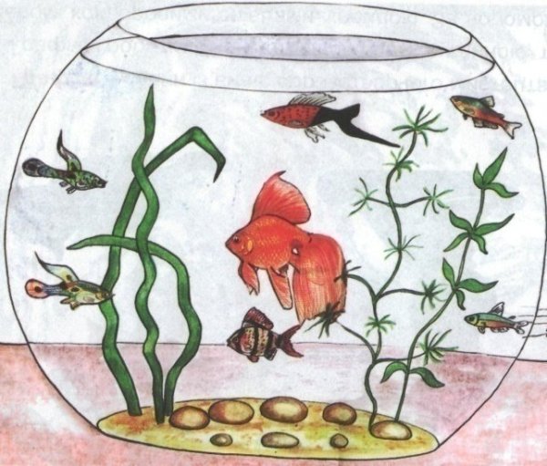 Рисование аквариум