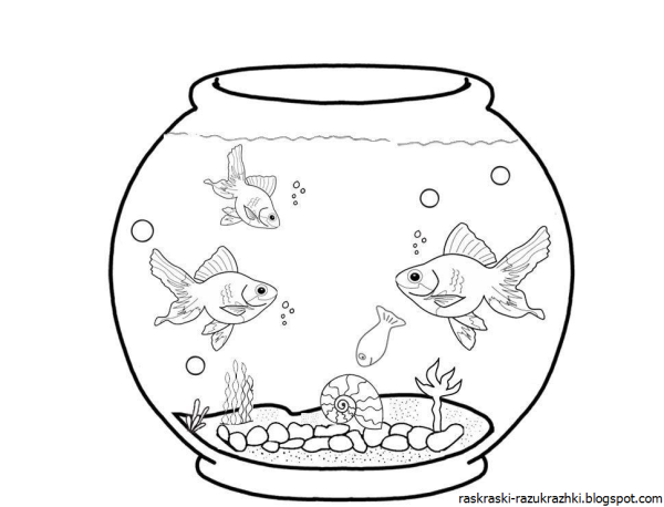 Аквариум для раскрашивания