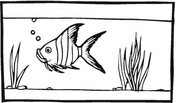 Аквариум квадратный раскраска