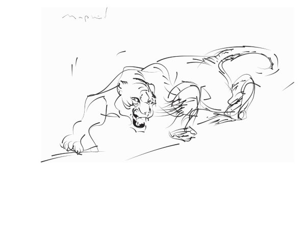 Пума арт для срисовки