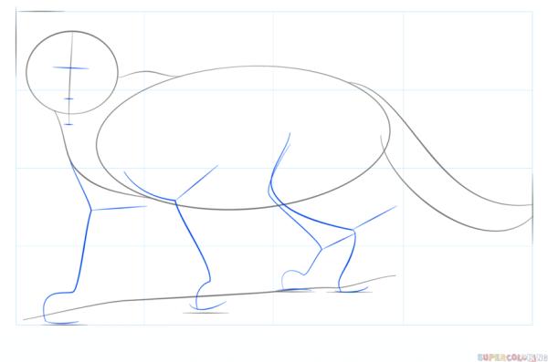 Как нарисовать пуму поэтапно для детей