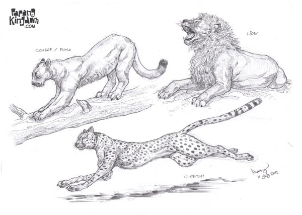 Нарисовать пуму карандашом