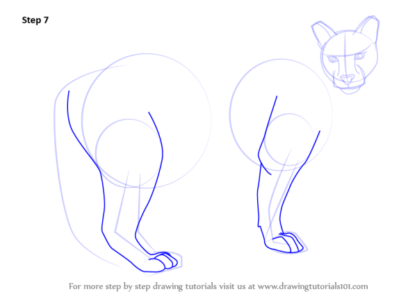 Нарисовать пуму в полный рост