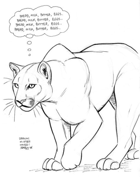 Рисунки карандашом надписи Пума