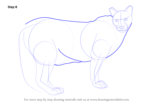 Нарисовать пуму в полный рост
