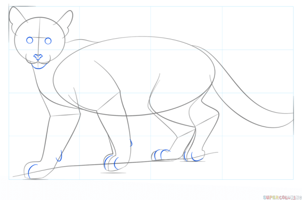 Пума рисунок карандашом для начинающих