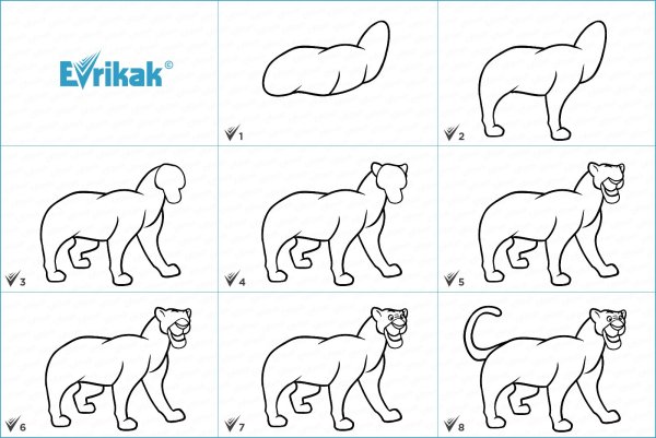 Пошаговый рисунок пантеры