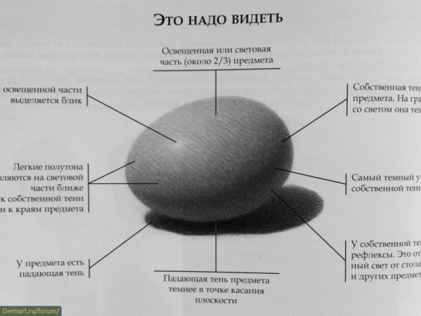 Яйцо свет и тень