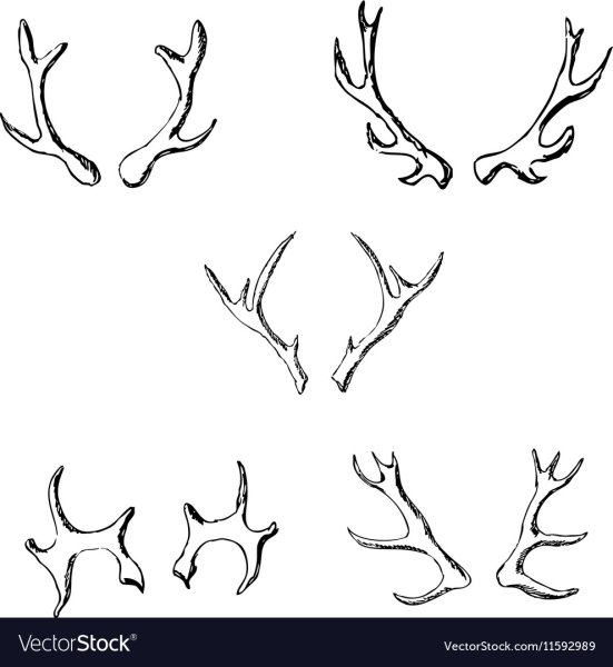 Оленьи рога карандашом