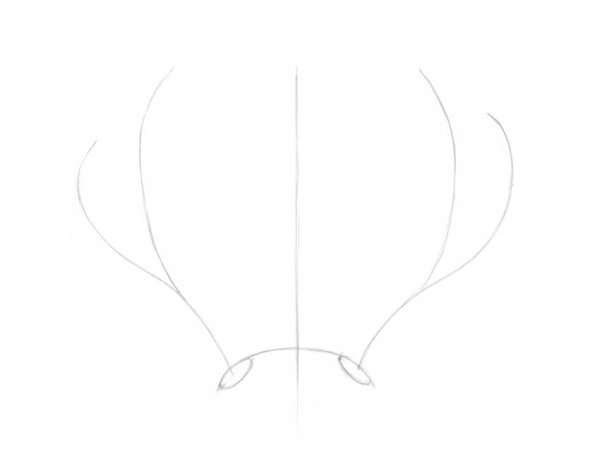 Этапы рисования Рог