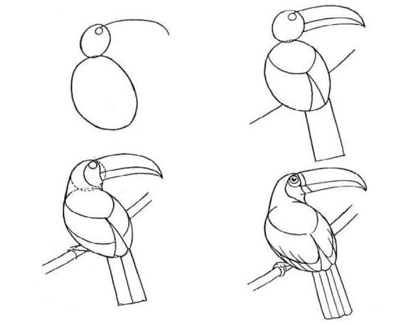 Поэтапное рисование