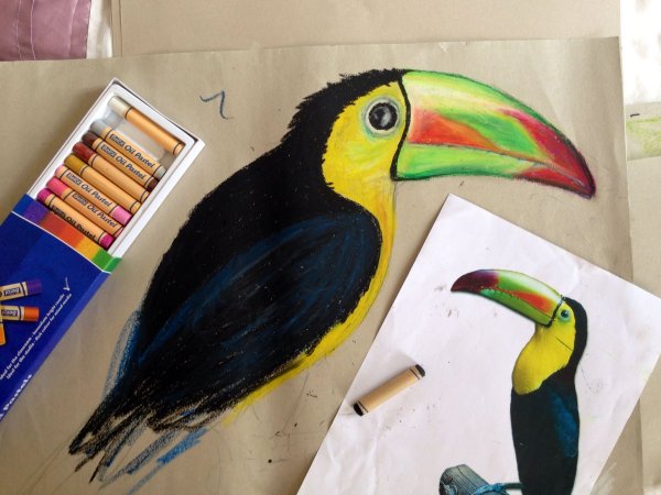 МК по рисованию для детей Тукан