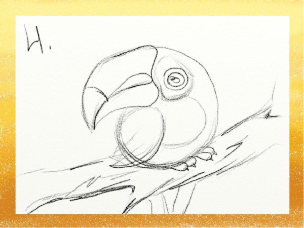 Тукан рисунок поэтапно