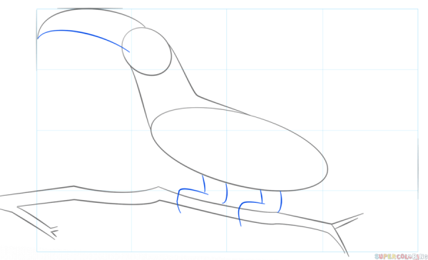 Как нарисовать тукана поэтапно