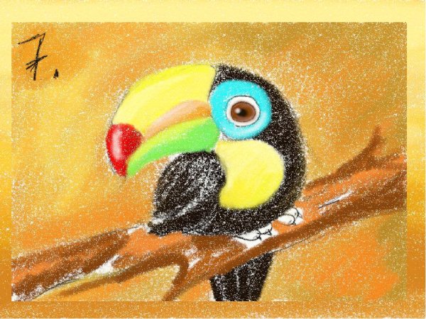 Тукан пастелью