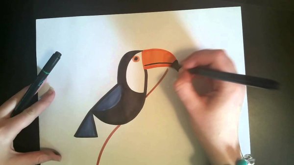 Тукан пошагово