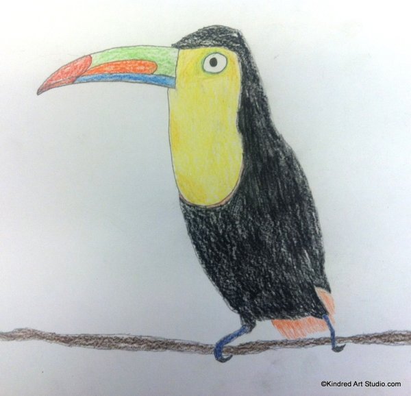 Пошаговое рисование тукана