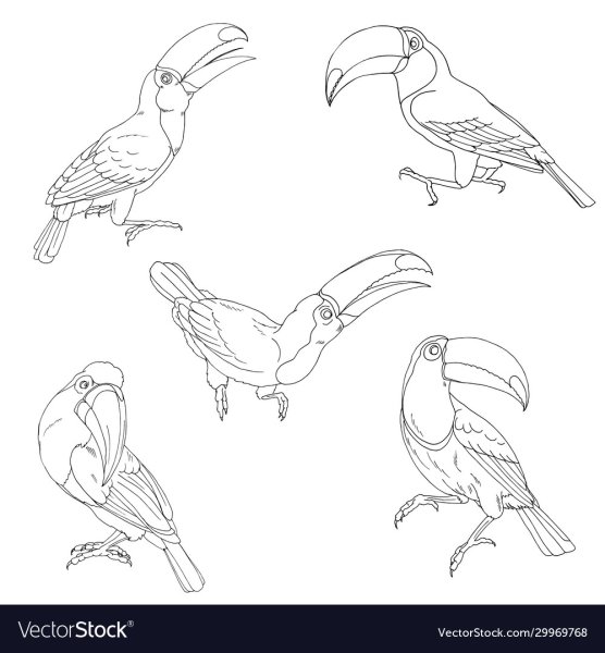 Птица вид сбоку рисунок