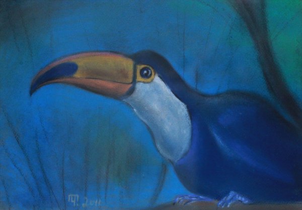 Пошаговое рисование тукана