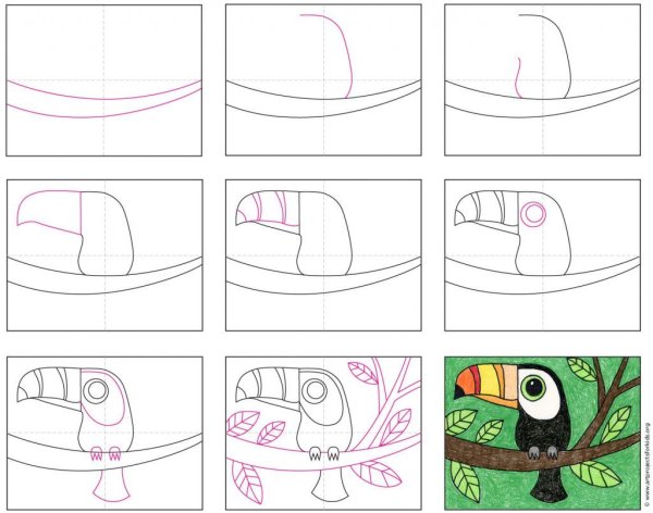 Рисуем тукана с детьми поэтапно