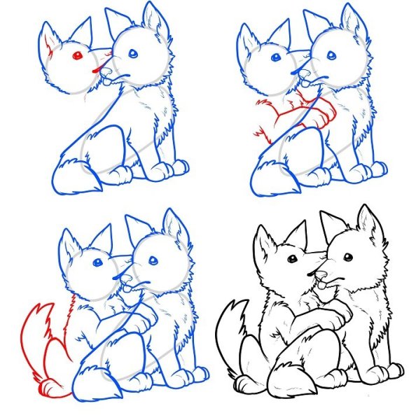 Поэтапное рисование волка