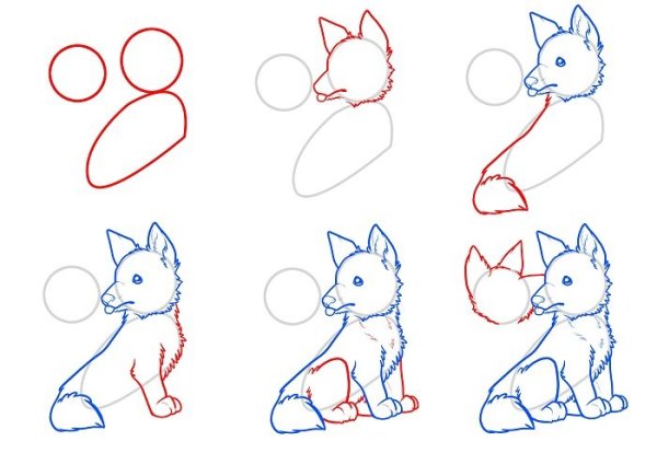 Поэтапное рисование волка для дошкольников