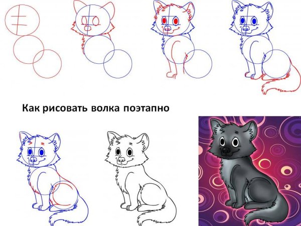 Как нарисовать волка поэтапно