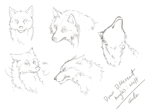 Уроки рисования волка
