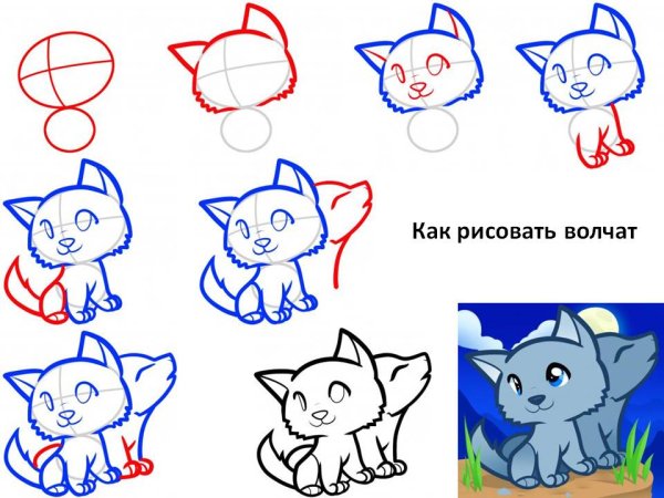 Как нарисовать волчонка