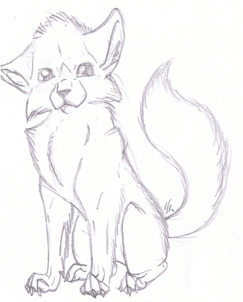 Волчонок рисунок карандашом для срисовки
