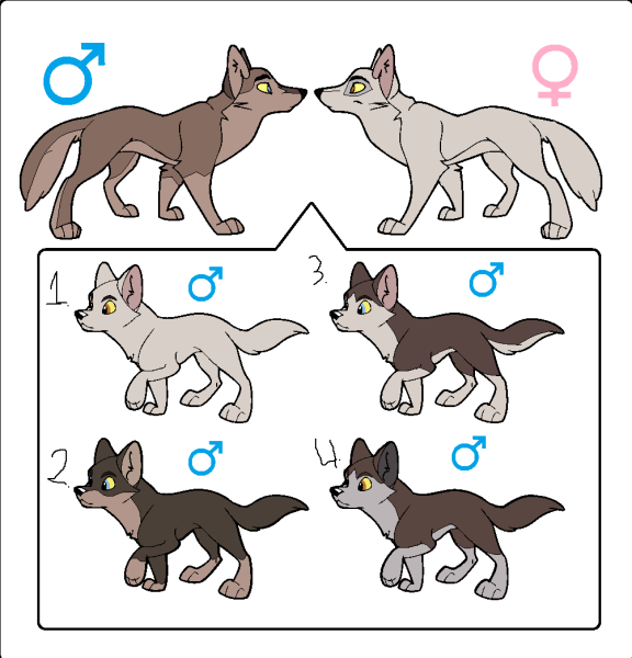 Волчонок референс