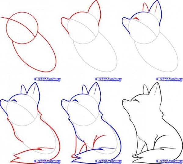 Поэтапное рисование волка для дошкольников